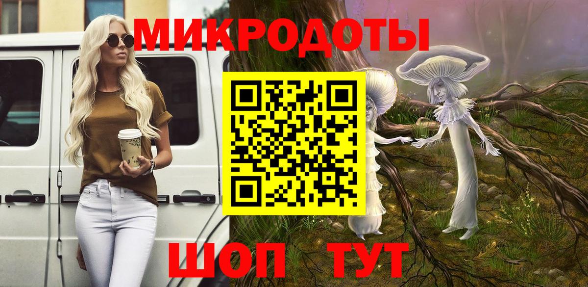 Галлюциногенные грибы Psilocybe Пушкино