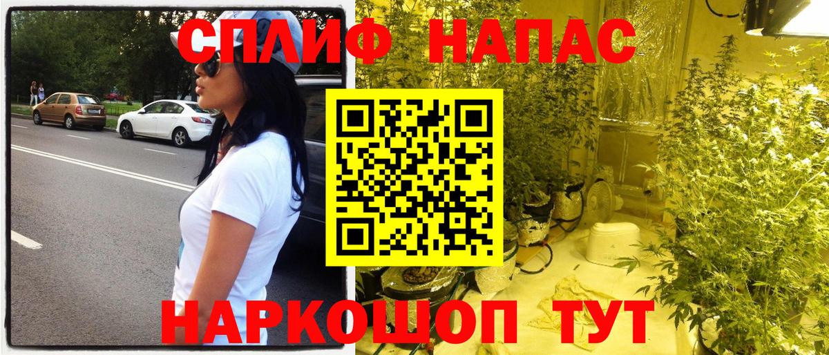 Бошки марихуана MAZAR  Конопля THC 21%  Пушкино  Вход с VPN  Бошки Шишки конопля 